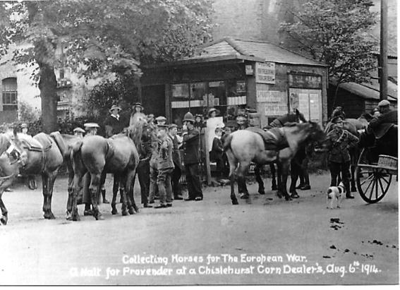Horses awaiting collection form Chislehurst for use in world War One